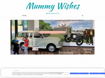 mummywishes.com snapshot