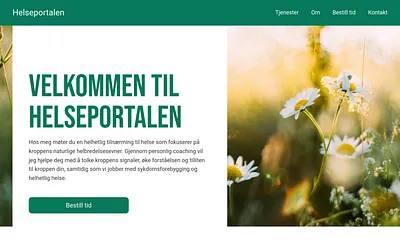 helseportalen.online snapshot