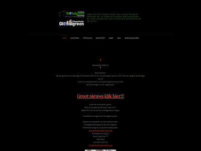 globalgreenkunstgras.be snapshot