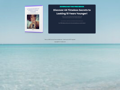 tricialee.net snapshot