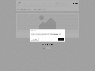 rocioydaniel.com snapshot