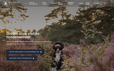 go-doodles.nl snapshot