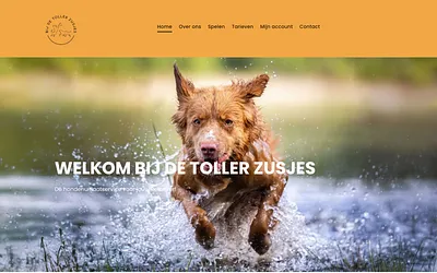 tollerzusjes.nl snapshot