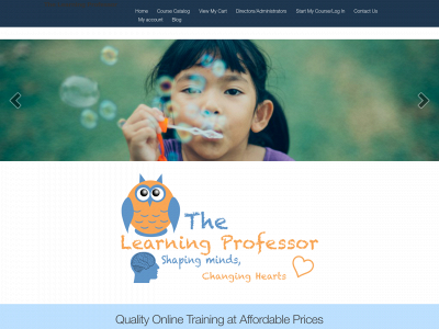 learningprofessor.com snapshot
