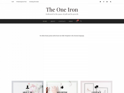 theoneiron.com snapshot