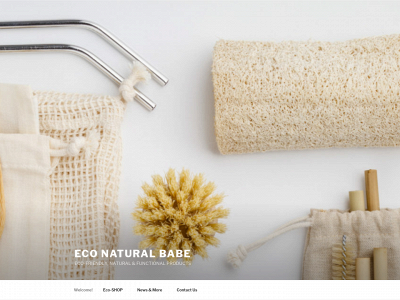 econaturalbabe.com snapshot