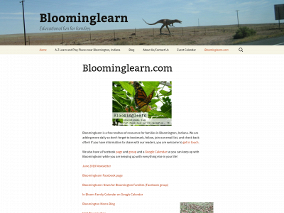 bloominglearn.com snapshot