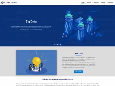celticbluetech.com snapshot