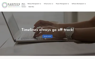 saepius.com snapshot