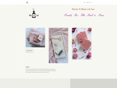 mamaslabstore.com snapshot