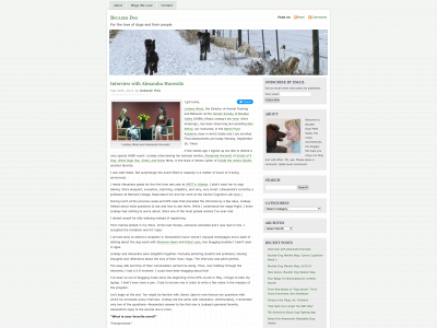 boulderdog.net snapshot