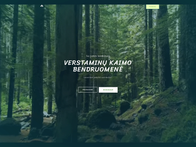 verstaminai.lt snapshot