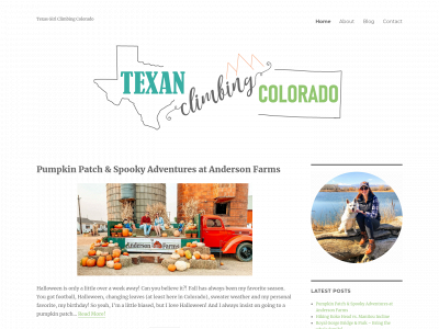 texanclimbingcolorado.com snapshot