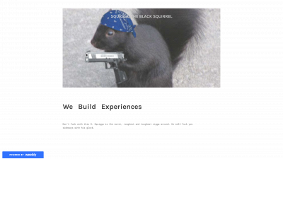 squigga.weebly.com snapshot