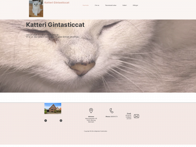 gintasticcat.dk snapshot