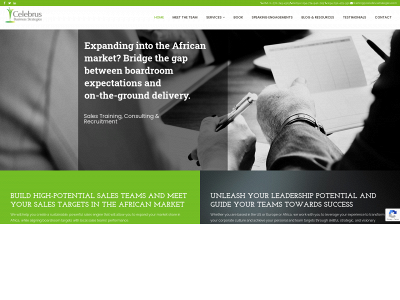 celebrusstrategies.com snapshot