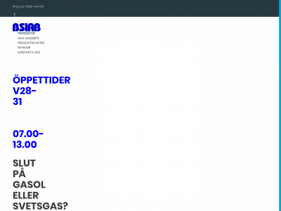 bsiab.se snapshot