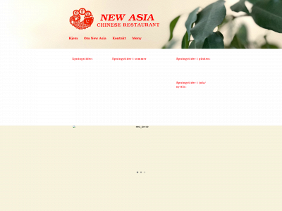 newasia.no snapshot