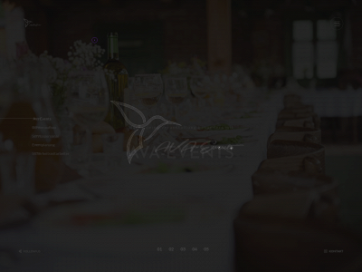 ava-events.de snapshot