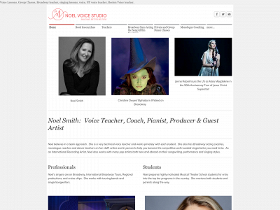 noelvoicestudio.com snapshot