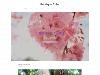 www.boutiquechiot.com snapshot