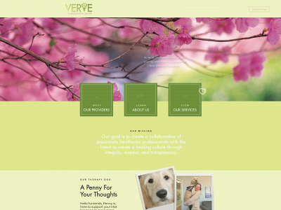 vervecollaborativehealth.com snapshot