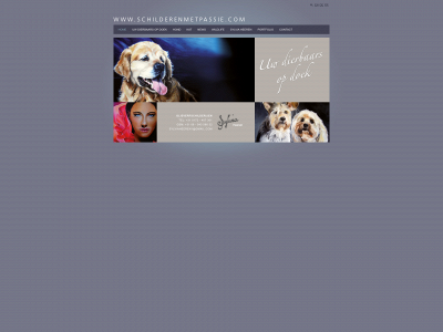 schilderenmetpassie.com snapshot
