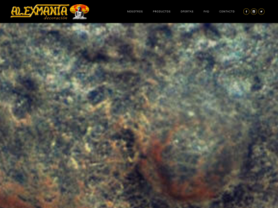 alexmaniadecoracion.com snapshot