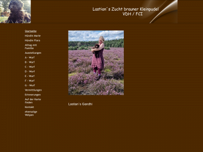 lastians.123webseite.de snapshot