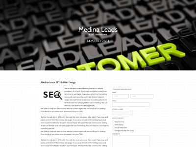 www.seoservicesolympia.com snapshot