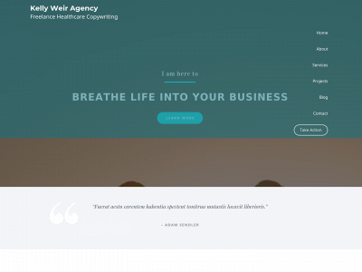 kellyweiragency.com snapshot