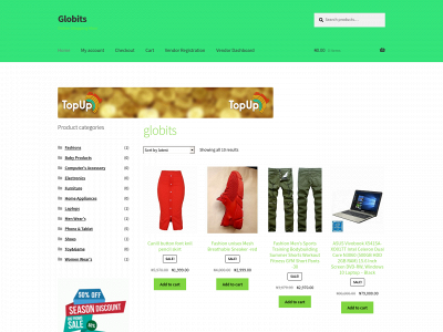 globits.com.ng snapshot