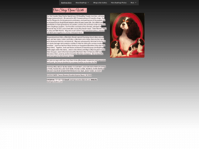 baykingscavaliers.com snapshot