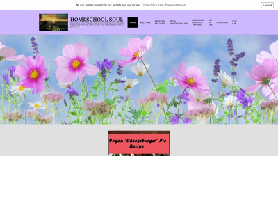homeschoolsoul.com snapshot