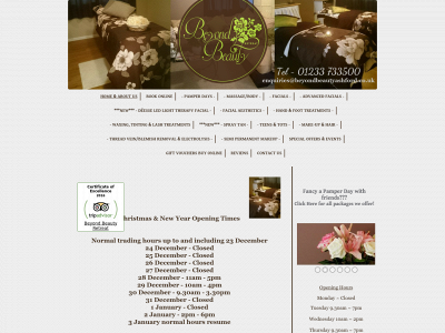 beyondbeautyashford.org snapshot