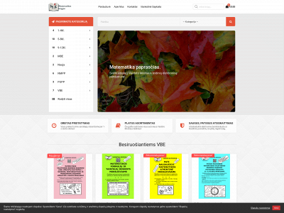 matematikosknygos.lt snapshot