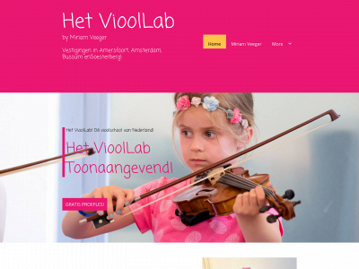 vioollesbussum.nl snapshot