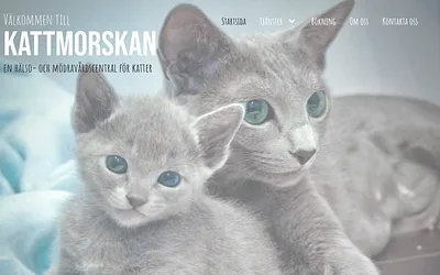 kattmorskan.se snapshot