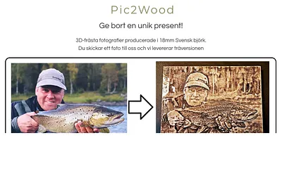pic2wood.se snapshot