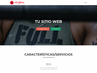 estilodevidafitnes.com snapshot