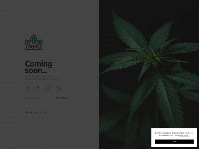 redeyecannabis.ca snapshot