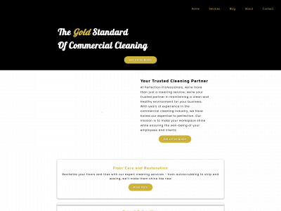 perfectionprofessionals.com snapshot