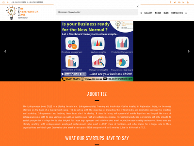 tez.co.in snapshot