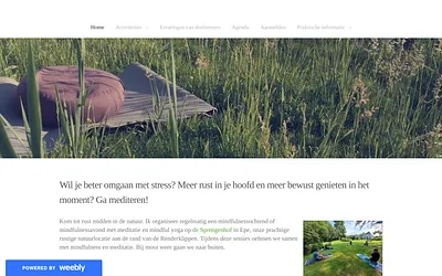 www.bewustzijnepe.nl snapshot