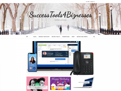 successtools4biznesses.com snapshot