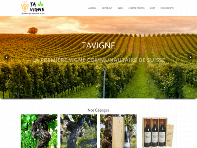 tavigne.ch snapshot