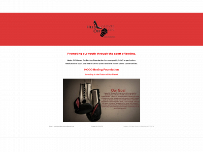 www.hogoboxingfoundation.org snapshot