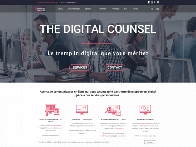 thedigitalcounsel.com snapshot