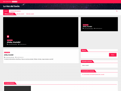 lavozdelsocio.com snapshot