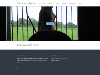 erinsportshorses.com snapshot